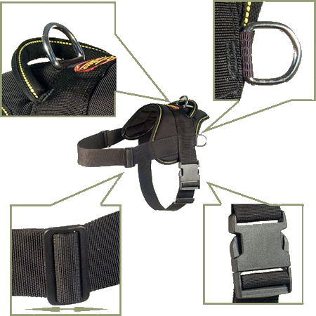 Nylon Designer Dog Harness for Doberman
