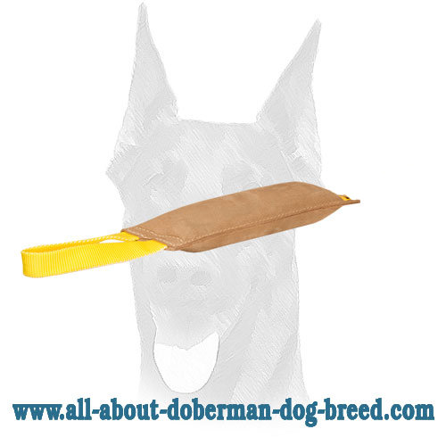 Dog Bite Tug made of Leather with Handle