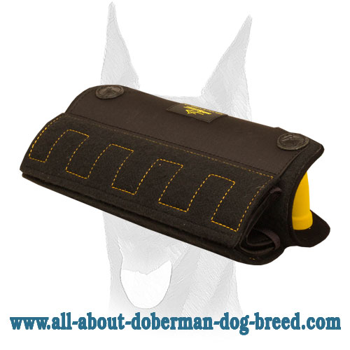 Puppy and Young Doberman Bite X-Builder