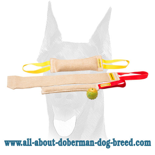 Doberman Puppy Training Set With Great Training Toy