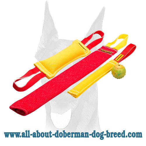 Doberman Puppy Training Bite Tugs Set and Great Training Toy As a Gift