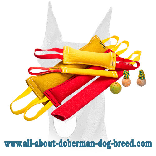 Ultimate Doberman Training Set With 3 Amazing Gifts