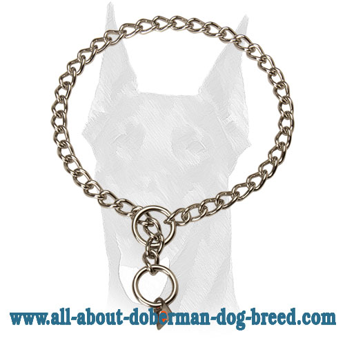 Choke Doberman collar of stainless steel with quality label 1/9 inch (3 mm)