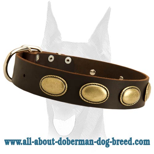 Retro rulz vintage leather collar for Doberman