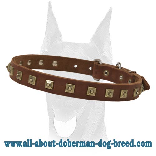 Leather decorated collar with attractive brass studs for Doberman - Click Image to Close