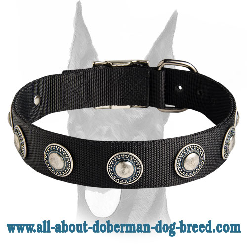 Exquisite design nylon collar with silver conchos