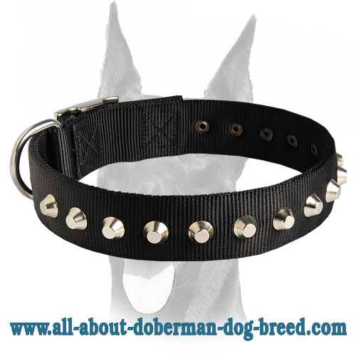 Outstanding nylon collar with silver-like studs for Doberman