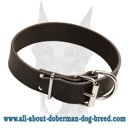 Super strong heavy duty leather Doberman collar