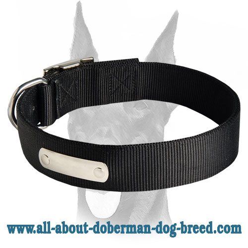 Best training 2 ply nylon collar with ID-tag for Doberman