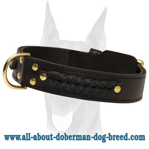 Amazing extra wide 2ply leather Doberman collar