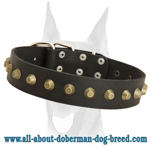 Extra wide gorgeous leather collar with brass pyramids for Doberman - Click Image to Close