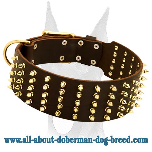Leather decorated collar with 5 rows of brass spikes for Doberman
