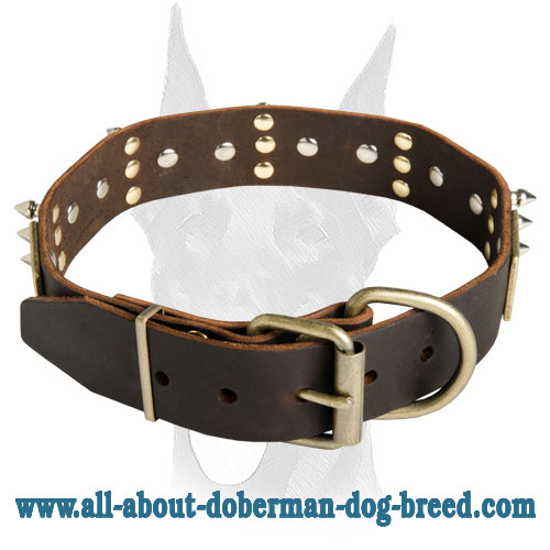 Stylish Doberman collar decorated with plates and spikes