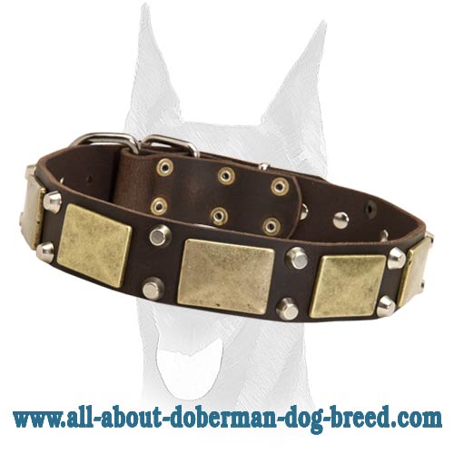 Gorgeous leather Doberman collar with massive plates and pyramids
