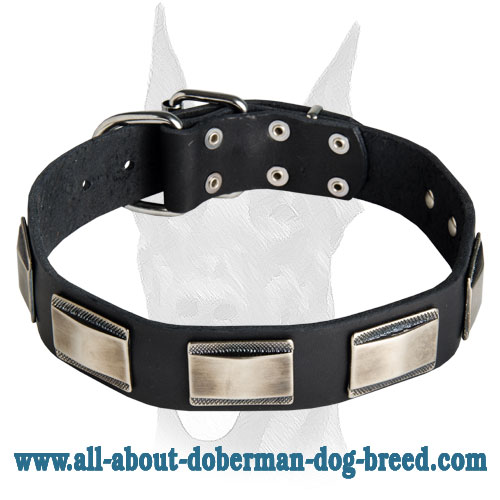 Gorgeous handcrafted leather collar with vintage nickel plates for Doberman