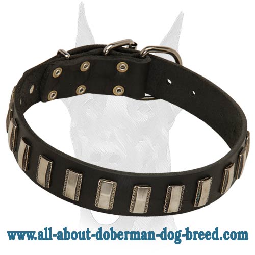 Best fitting decorated leather collar for Doberman - Click Image to Close