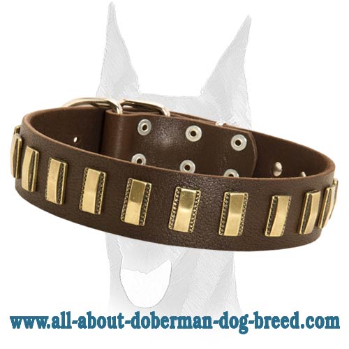 Handcrafted Leather dog collars for Doberman handmade : Doberman Breed: Dog  harness, Muzzle, Collar, Leash