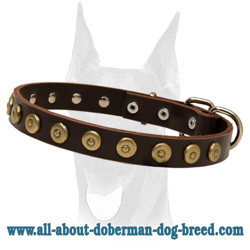 Gorgeous Leather Dog Collar With Dotted Circles