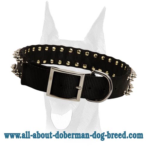 Stylish nylon collar with 2 rows of spikes for Doberman