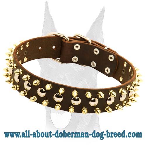 Dog Collars, Designer Dog Collars, Luxury Dog Collars