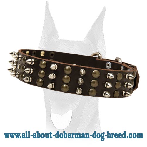 Gorgeous spiked and studded leather collar for Doberman
