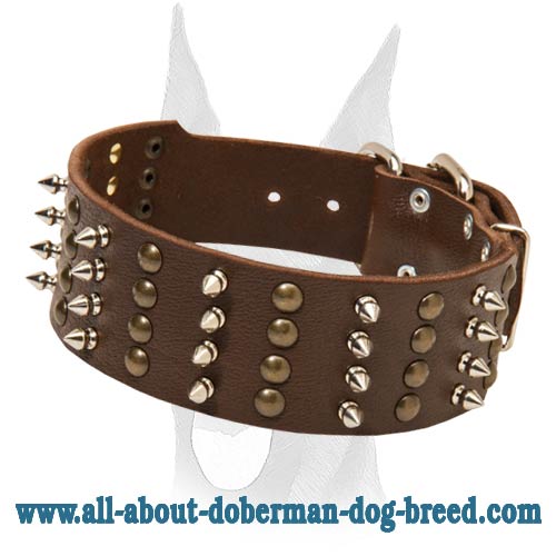 Exclusive design wide leather collar with studs and spikes for Doberman :  Doberman Breed: Dog harness, Muzzle, Collar, Leash