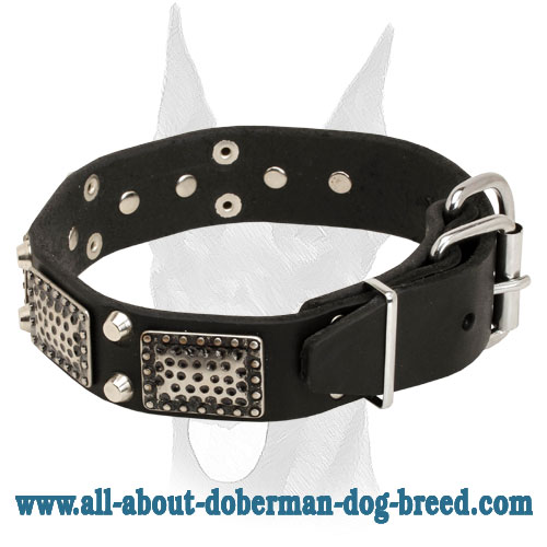 War-like leather collar with massive vintage plates and pyramids for Doberman