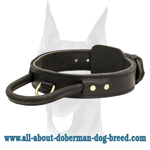 Agitation Leather Collar with Strong padded Handle for Doberman