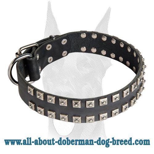 Exquisite design studded leather collar for Doberman