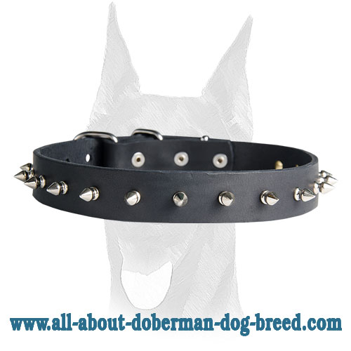 Stylish elegant one rows spiked leather collar for Doberman