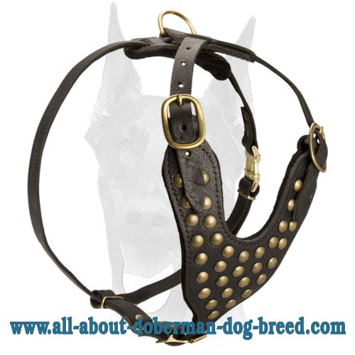 Exclusive style Doberman leather studded harness - Click Image to Close