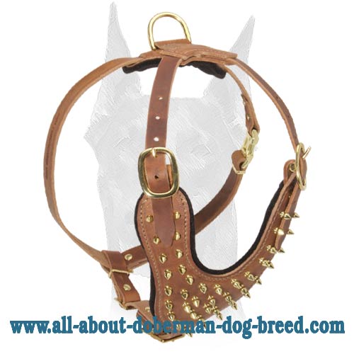 Adjustable Spiked Leather Dog Harness for Doberman Walking and Training