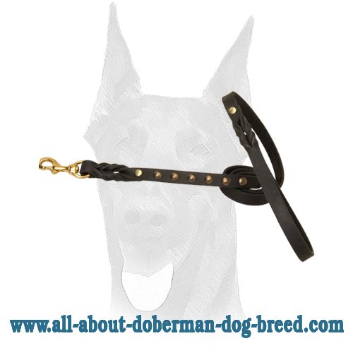 Studded leather Doberman leash