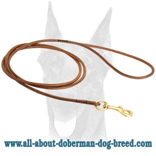 Walking handmade dog show leash for Doberman