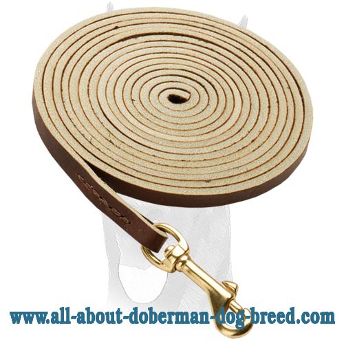 Leather dog leash for tracking with your Doberman