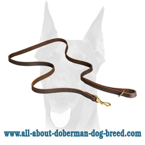 Leather dog leash stitched for Doberman