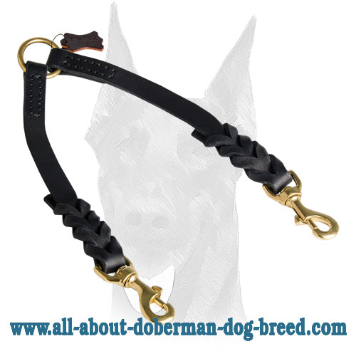 Braided leather coupler for walking 2 dogs
