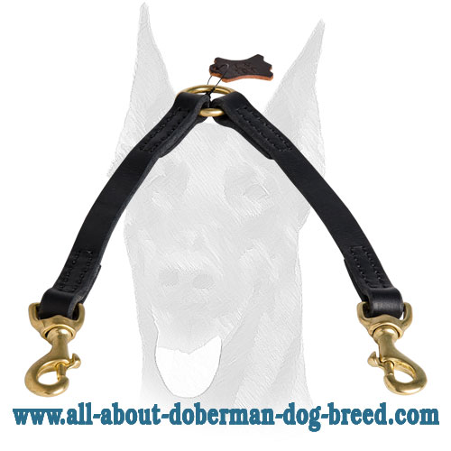 Walk your 2 Dobermans easily using this leather stitched coupler
