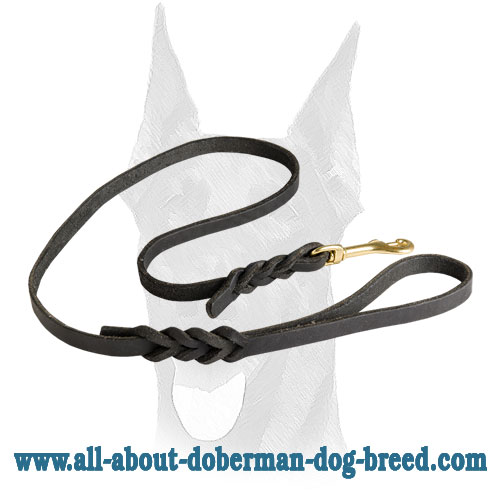 Leather Dog Leash 2 to 6FT x 1/2-Inch for Doberman