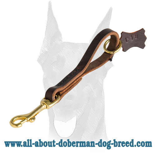 Leather Snap Tab 10 inch LEASH for Doberman