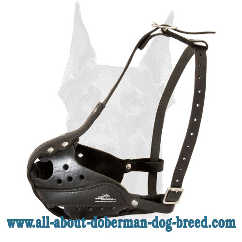 Agitation Training Leather Muzzle for Doberman