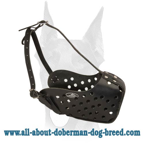 Reliable Leather Doberman Muzzle for Agitation Work