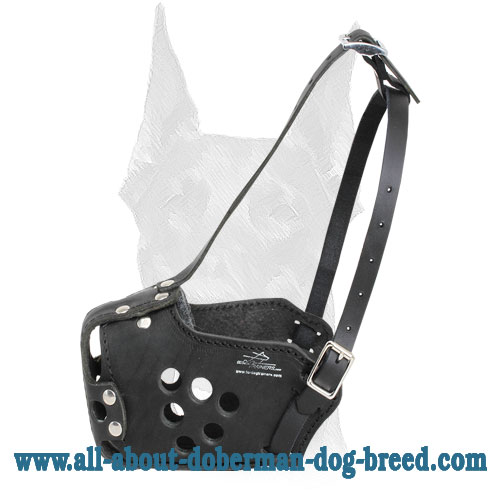 Leather Doberman muzzle for military dogs