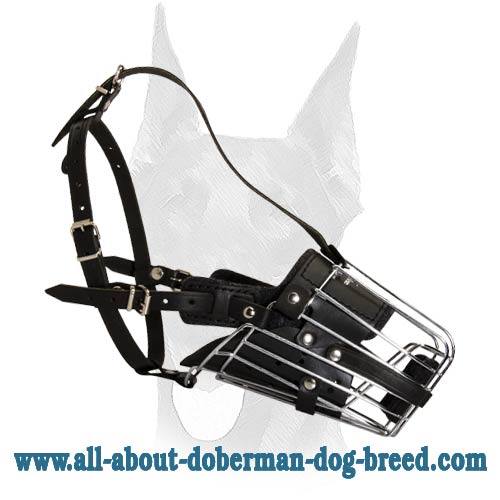'No Mash' Fully Leather Padded Basket Doberman Muzzle for Agitation Training