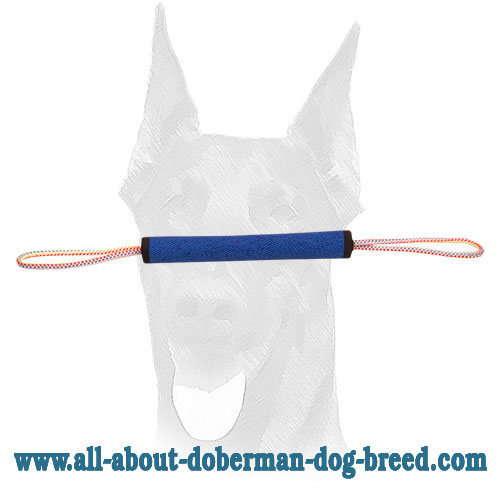 French Linen Doberman play roll