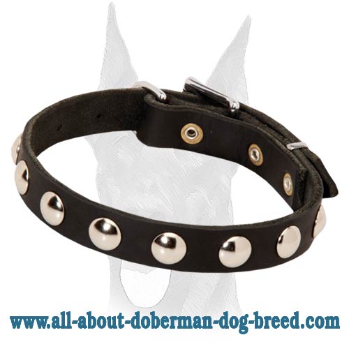 Original style studded leather Doberman collar