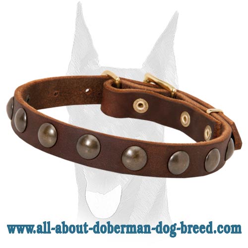 Stunning design leather studded Doberman collar