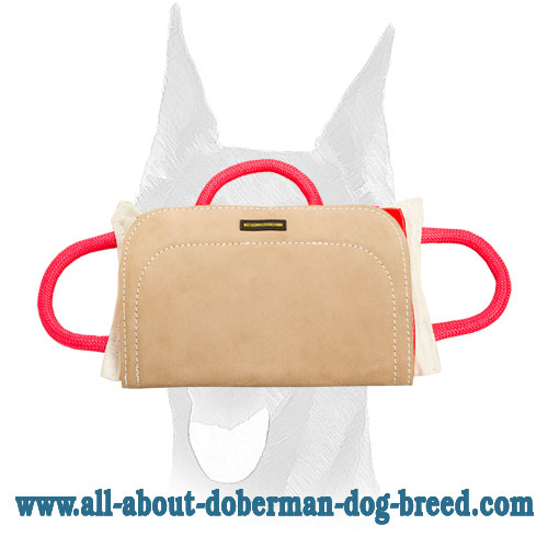 Advanced training bite pillow with leather cover for Doberman