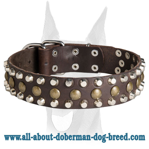 Perfect fit handmade leather Doberman collar with studs and pyramids