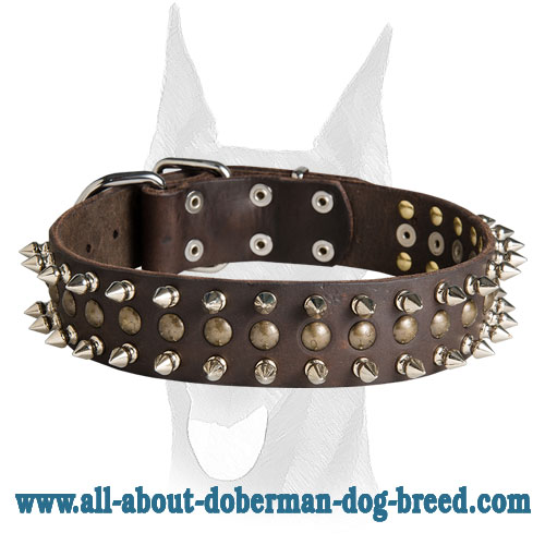 Perfect looking leather collar with 2 rows of spikes and 1 row brass studs